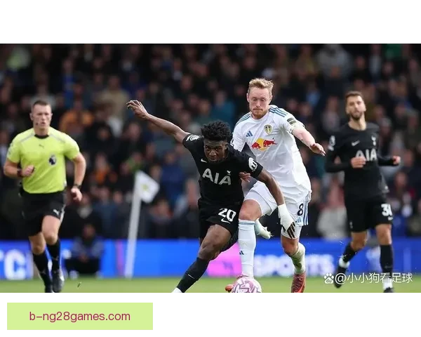 2025夏季转会重磅：热刺成功引进利兹联核心中场球员